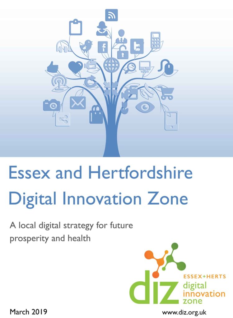 DIZ-Digital-Innovation-Strategy-Web-scaled-749x1024